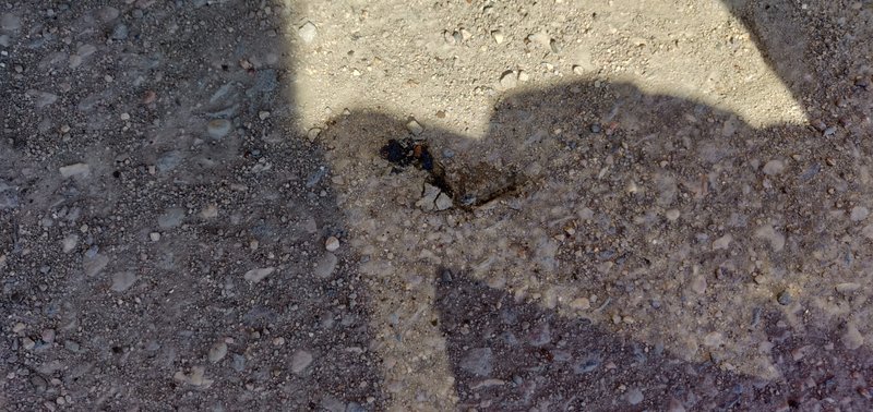 After finishing the front I noticed that the jack-stand sunk into the asphalt on the sunny side of the car.